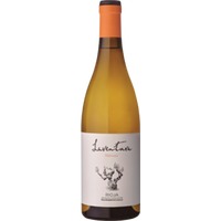 Laventura Malvasia