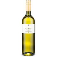 Pinot Grigio Il Cigno Liter