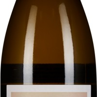ArtiSons Chenin Blanc The Mothership Stellenbosch