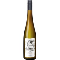 Strass Riesling Kamptal DAC