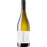 Grauburgunder - vom Löss - - Weingut Landerer