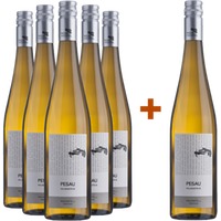 5+1 Paket Weinviertel DAC Grüner Veltliner Falkenstein BIO - Weingut Pesau