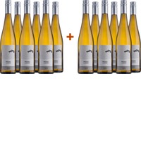 6+6 Paket 2023 Riesling Falkenstein trocken Bio BIO - Weingut Pesau