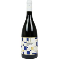Primitivo Campi Deantera, Salento