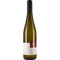 Zeller Schwarze Katz Rivaner trocken - Weingut Amlinger-Schardt