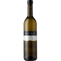 Riesling "Alte Rebe" trocken - Weingut Marx (Alzey-Weinheim)