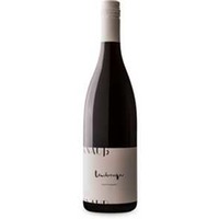 Lemberger G Bio trocken