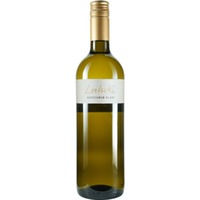 Sauvignon Blanc - Weingut Lentsch - Pinots vom Leithaberg