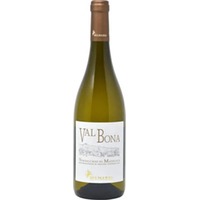 Verdicchio Matelica DOC Valbona