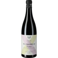 Telescopico