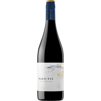 Torres Icons Magnetic Tinto 0.75 L Flasche