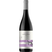 Villa Raiano Virgo Campania Rosso Igp 0.75 L Flasche