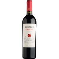Villa Fontana Bardolino, Bardolino DOC, Venetien, 2024, Rotwein