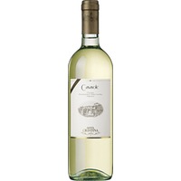 Casasole Orvieto Classico Amabile DOC - Santa Cristina