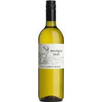 Sauvignon Blanc - Weingut Münzenrieder