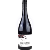 Pinot Noir Vom Opok 2021 Lamprecht