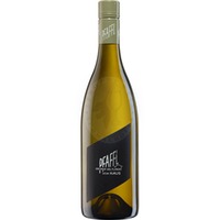 Grüner Veltliner Vom Haus Pfaffl