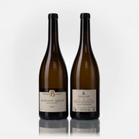 Bourgogne Aligoté