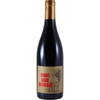Pinot Noir Sauvage - Château de la Terriére