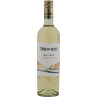 Pinot Grigio - Terre del Noce