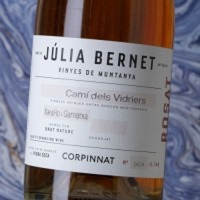 Júlia Bernet Rosat Camí dels Vidriers