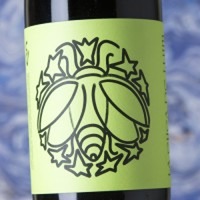 Succés Vinícola La Cuca de Llum