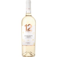 12 e mezzo Malvasia Bianco, Salento IGP, Apulien, 2024, Weißwein