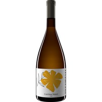 Tollo Hedós Pecorino, Terre d’ Abruzzo IGP, Abruzzen, 2024, Weißwein