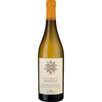 Belguardo V Vermentino Superiore Vermentino Superiore Maremma Toscana DOC