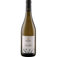 Pinot Grigio DOC - H. Lun