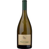 Terlan Pinot Grigio, Alto Adige DOC, Südtirol, 2024, Weißwein