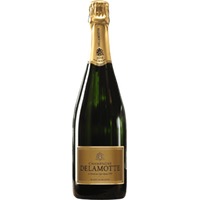 Delamotte Blanc de Blancs Millèsimé - Champagne Delamotte