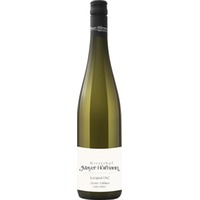 Grüner Veltliner Kamptal DAC vom Stein - Winzerhof Mayer-Hörmann