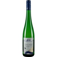 Ried Frauenweingärten Grüner Veltliner - Weingut Hick