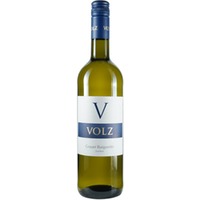 Grauer Burgunder trocken - Weingut Volz & Sohn