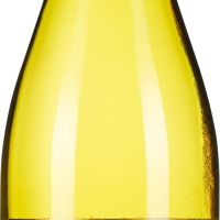 Chardonnay Puglia