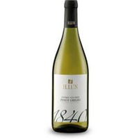 Pinot Grigio DOC