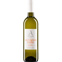 Sauvignon Blanc "Pure" - Artisan Wines