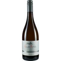 Blanc de Noir Spätburgunder - Weingut Pitthan