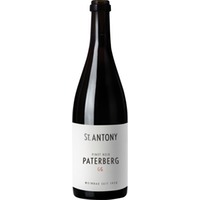 Paterberg Pinot Noir GG Trocken, Rheinhessen