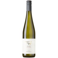Riesling Kamptal DAC Ried Gaisberg trocken - Weingut Reinhard Topf