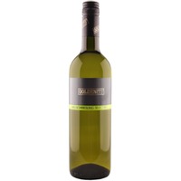 Welschriesling SELECT trocken - Bioweingut Anita und Richard Goldenits