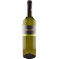 Muskat Cuveé (GM + MO) trocken - Bioweingut Anita und Richard Goldenits