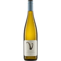 Steinbock Weissburgunder - Weingut Hörner