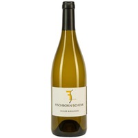 Grauer Burgunder trocken - Weingut Fischborn-Schenk