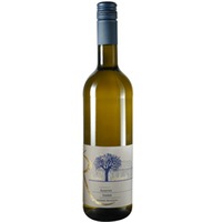 Dürkheimer Nonnengarten Auxerrois trocken - Weingut Thomas Reinhardt