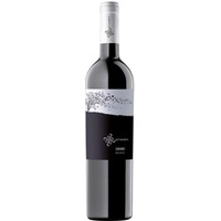 Zibibbo Sicilia DOC trocken Bio - Ottoventi