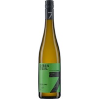 Siebenstein. Kalkstein Riesling QbA, Trocken, Pfalz, Pfalz, 2023, Weißwein