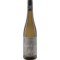 Andreas Oster Horizn29 Cabernet Blanc Piwi QbA, Trocken, Rheinhessen, Rheinhessen, 2023, Weißwein