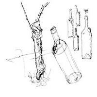 WeinWerk Secco Rivaner trocken - WeinWerk A. Tully